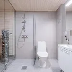 Detailed With Sauna And Fast Wi-fi Downtown * Rovaniemi